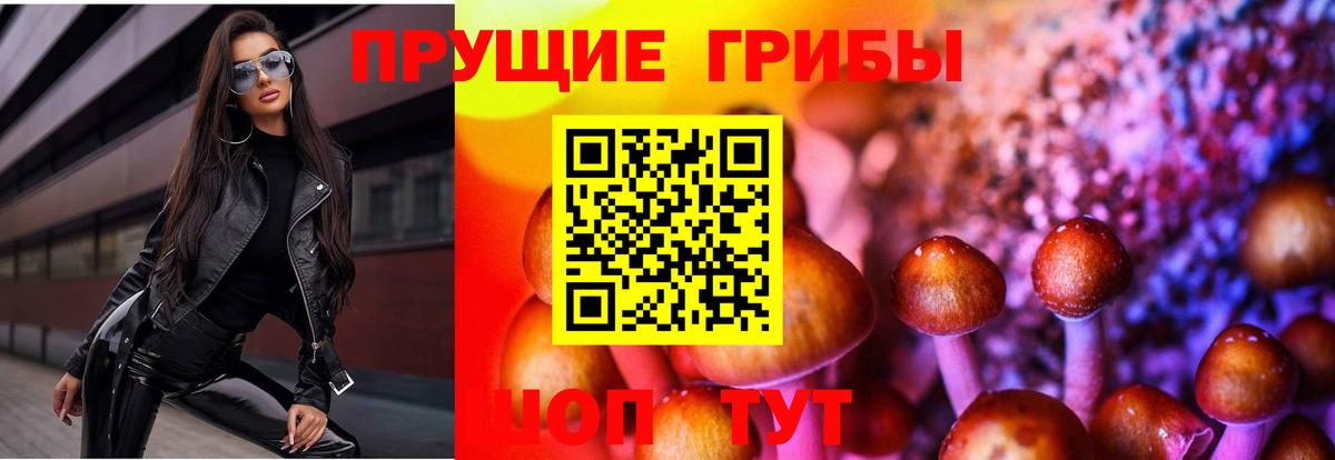Ханты-Мансийск  Псилоцибиновые грибы Psilocybe  Вход с VPN  Галлюциногенные грибы GOLDEN TEACHER 